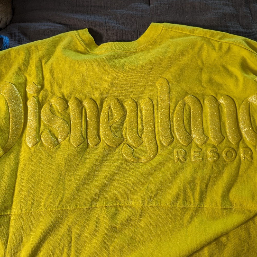 Disneyland spirit jersey